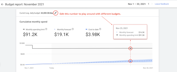 A screenshot of a Google Ads Budget Report. 