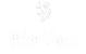 rip van